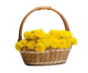 Similar image 852923