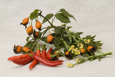 Similar image 852926