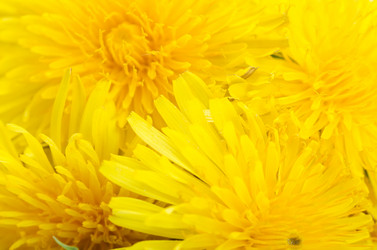 Similar image 852925