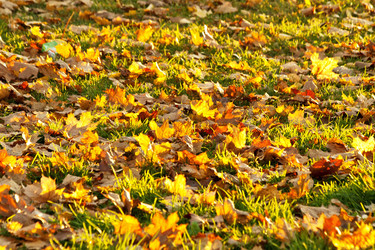 Similar image 852927