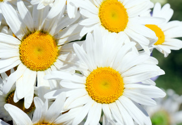 Similar image 852978