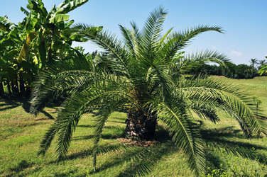 Similar image 853287