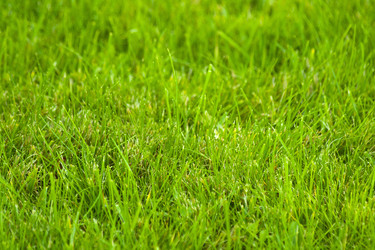 Similar image 853386