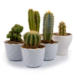 Similar image 853448