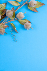 Similar image 853453