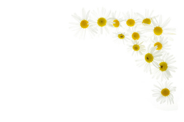 Similar image 853573