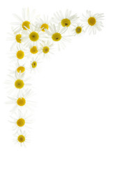 Similar image 853578