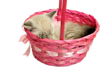 Similar image 853579