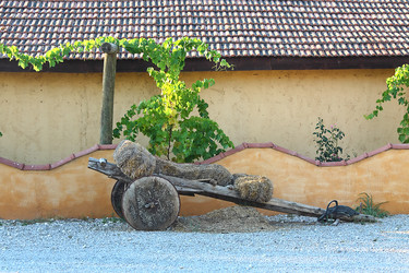 Similar image 853621