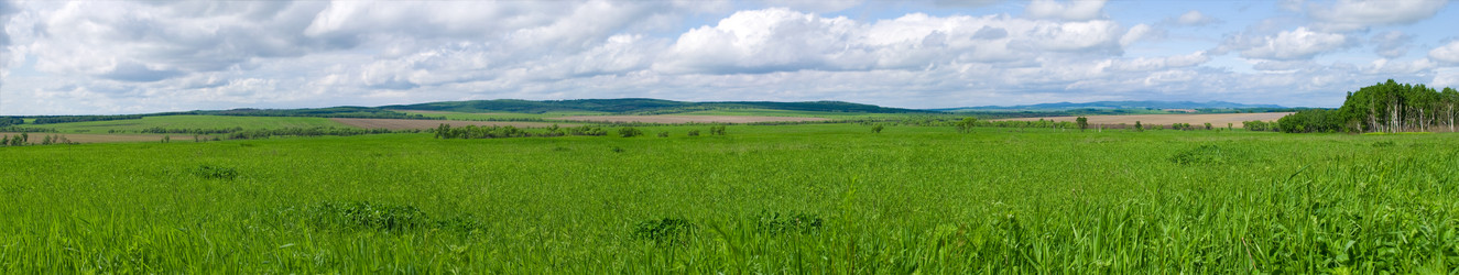 Similar image 853747