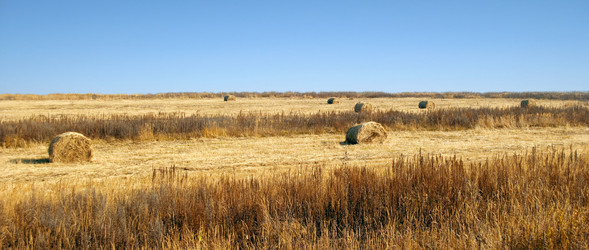 Similar image 853756