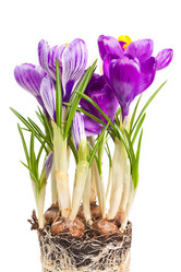 Similar image 853781