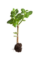 Similar image 853785