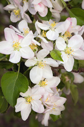 Similar image 853790