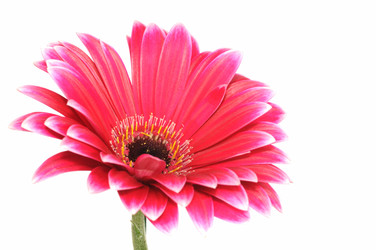 Similar image 853808