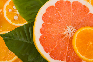 Similar image 853833