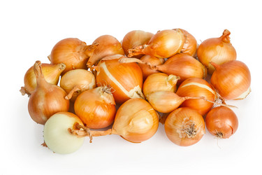 Similar image 853836