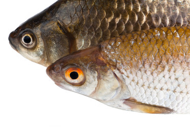 Similar image 853861