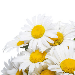 Similar image 853871