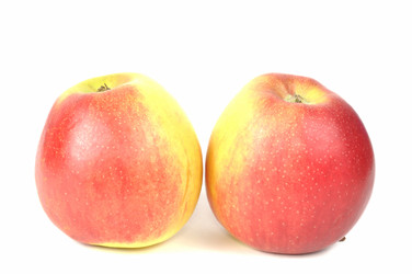 Similar image 853876