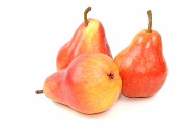 Similar image 853879