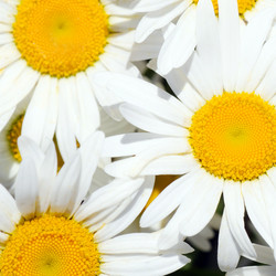 Similar image 853893