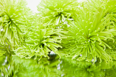 Similar image 853945