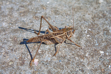 Similar image 854001