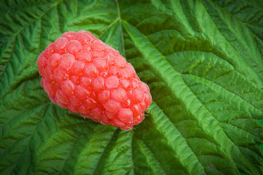 Similar image 854018