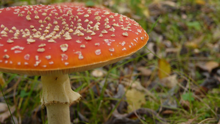 Similar image 854051