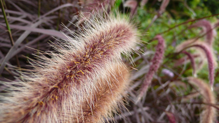 Similar image 854055