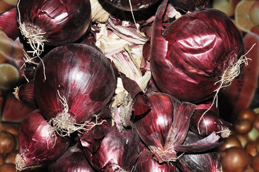 Similar image 854056