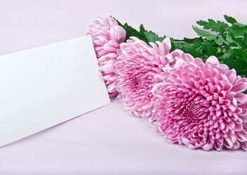 Similar image 854059