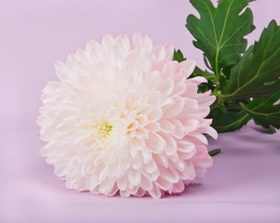 Similar image 854066