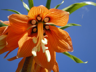 Similar image 854120