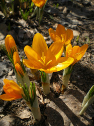 Similar image 854124