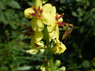 Similar image 854127