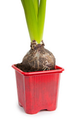 Similar image 854128