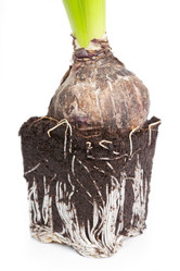 Similar image 854130