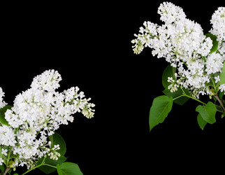 Similar image 854134