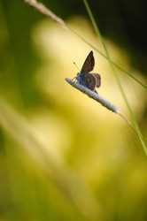 Similar image 854139