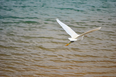 Similar image 854146