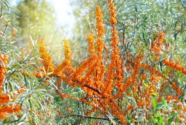 Similar image 854235