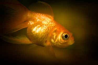 Similar image 854262