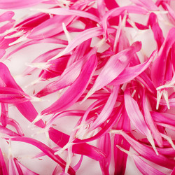 Similar image 854272