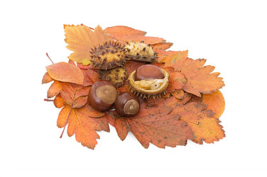 Similar image 854279