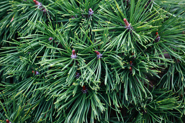 Similar image 854307