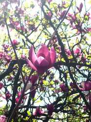 Similar image 854389