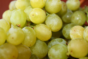 Similar image 854404