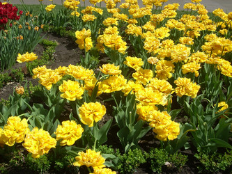 Similar image 854422